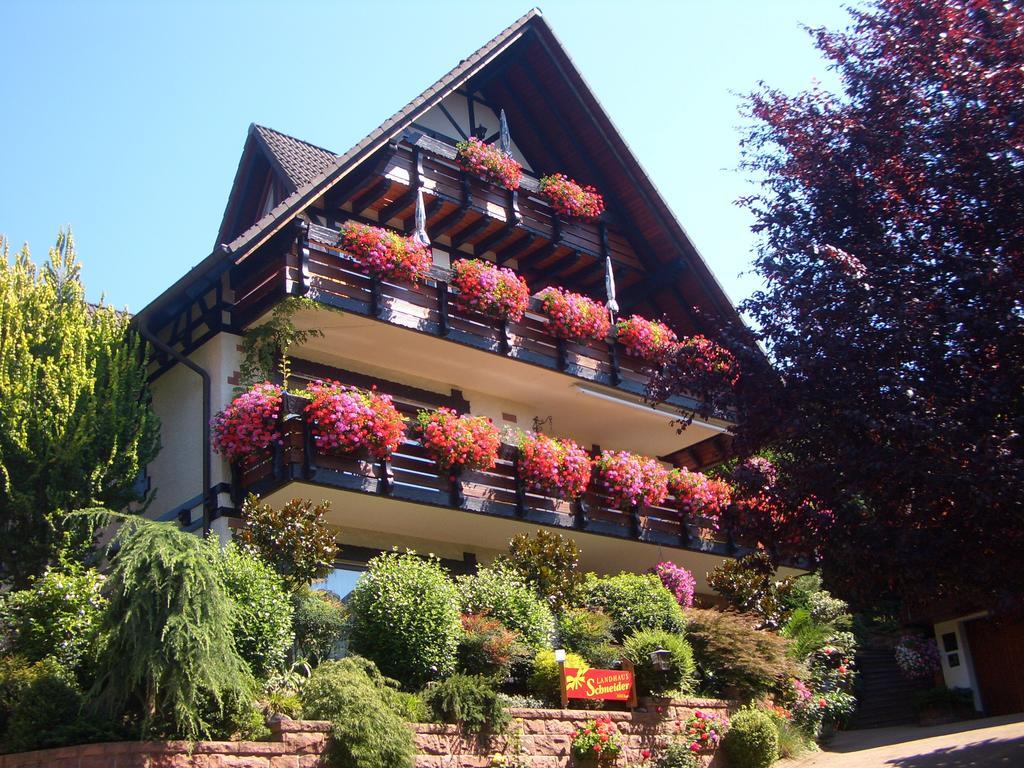 Landhaus Schneider Sasbachwalden Extérieur photo