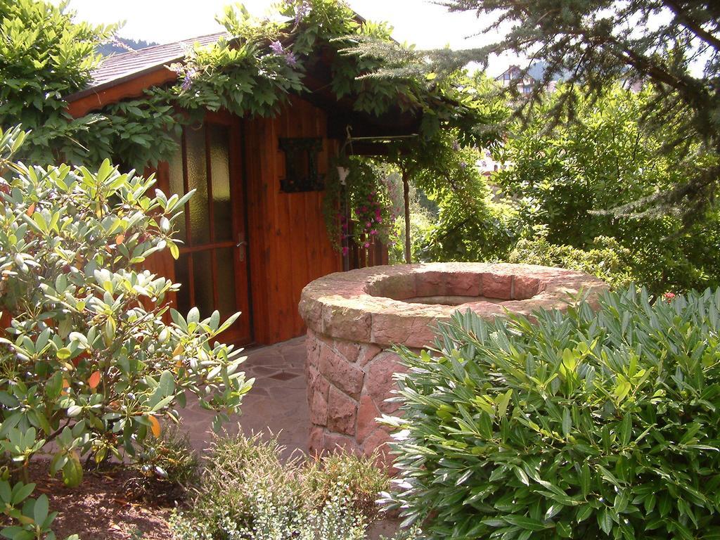 Landhaus Schneider Sasbachwalden Extérieur photo